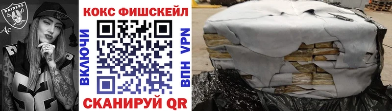 Cocaine FishScale  Купить  Ясный 