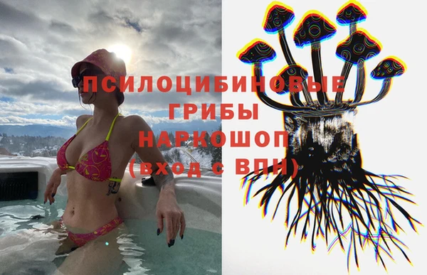 МДПВ Алексеевка