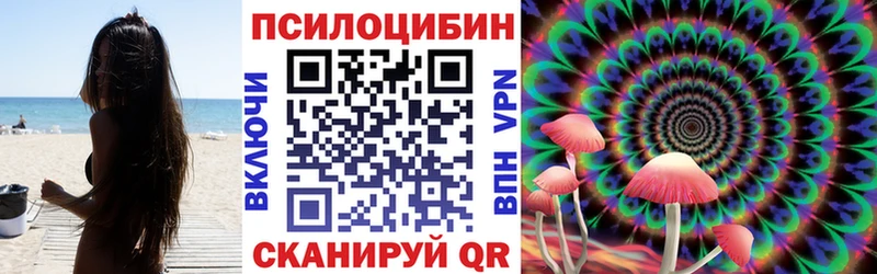 Купить  Ясный  Псилоцибиновые грибы GOLDEN TEACHER 